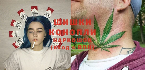 шишки Алексин