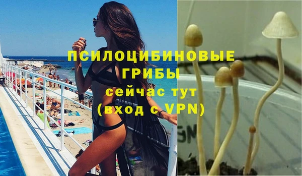 ALPHA PVP Алзамай