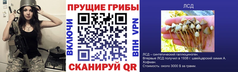 где можно купить наркотик  Красноуральск  Галлюциногенные грибы GOLDEN TEACHER 